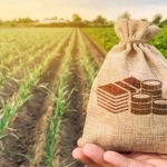 فاطمه آبادی