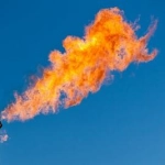 فاطمه صفری‌دهکردی