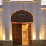 محمدرضا بلادی