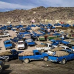 نگین سلیمیان