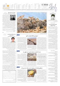 صفحهٔ ۸
