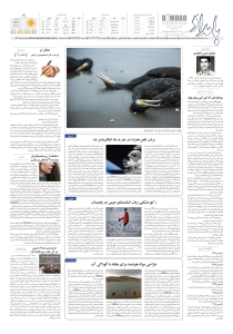 صفحهٔ ۸