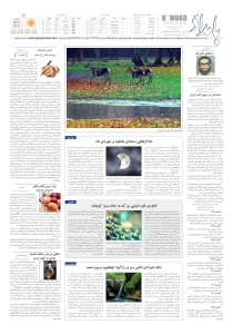 صفحهٔ ۸