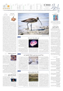 صفحهٔ ۸