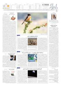 صفحهٔ ۸