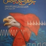 سیدحسام مزارعی