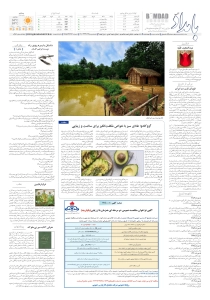 صفحهٔ ۸