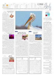 صفحهٔ 8