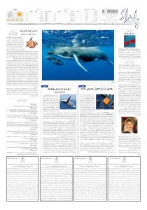 صفحهٔ 8