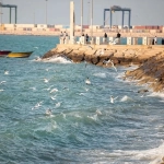 بهناز لاوری