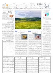 صفحهٔ 8