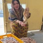 بهناز لاوری